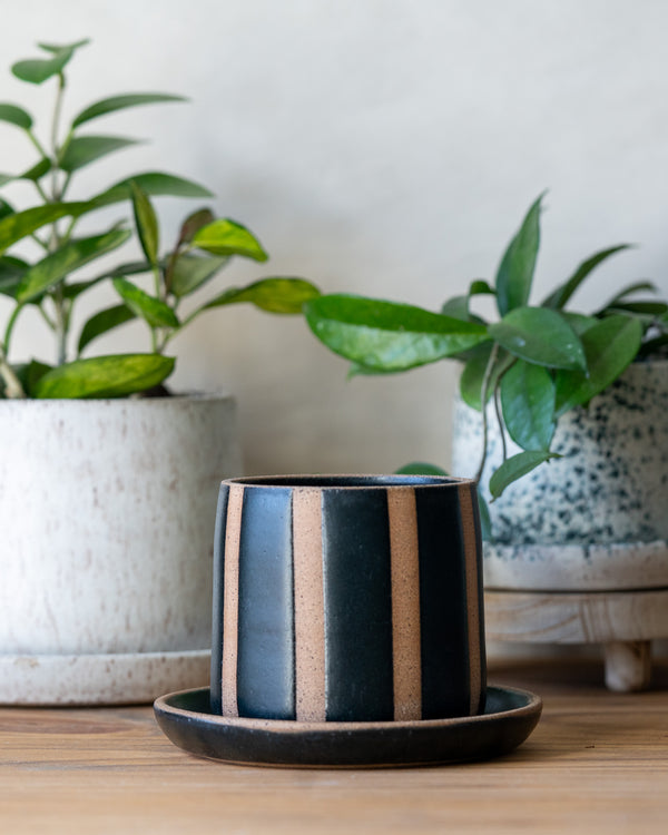 4 Inch Planter - Striped