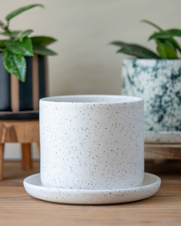 6 Inch Planter