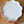 Jewelry Tray - Scalloped