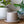 4 Inch Planter