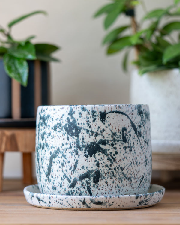 6 Inch Planter