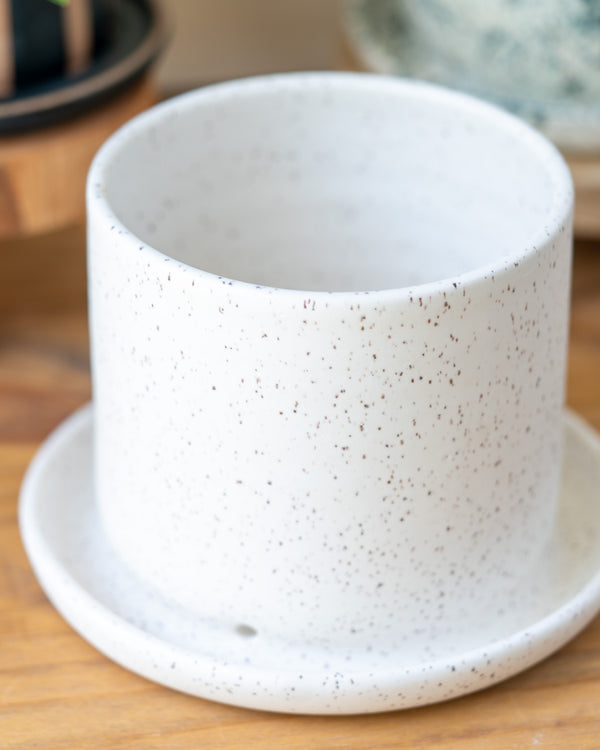 6 Inch Planter