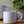 Moment Mug