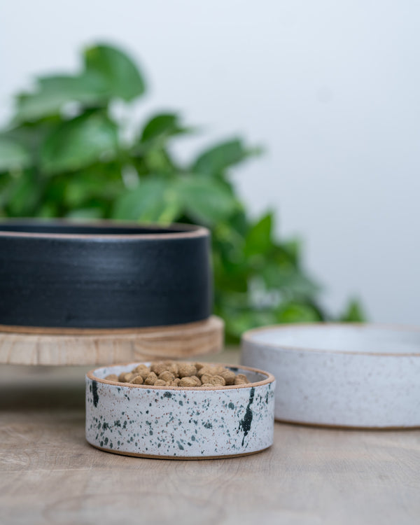 Basic Pet Bowl
