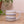 The One with Vertical and Horizontal Lines- 14 oz Mug