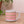 The One with Dots and Lines- 14 oz Mug