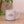 The One with a Sun- 14 oz Mug